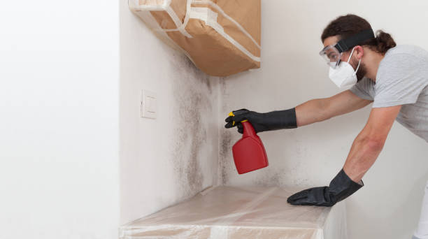 Professional Mold Removal technician working in Paramus, NJ