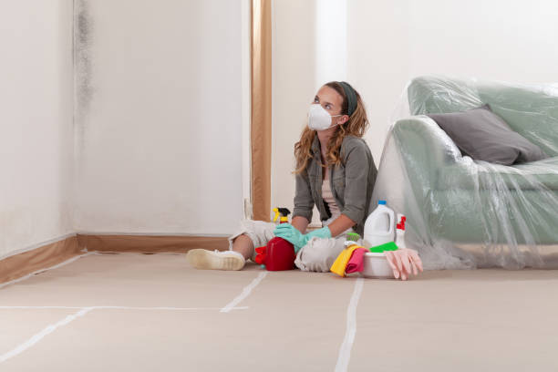 Reliable Mold Removal contractor in Paramus, NJ by 24 Hour Mold Removal
